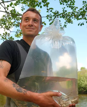 Sur le front - Saumon