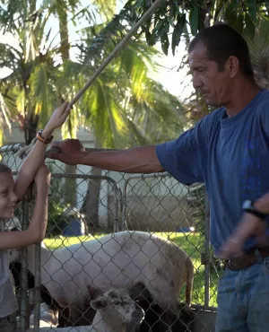Les petits cailloux - christian le tondeur de mouton