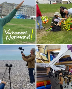 VAN Le festival cerf volant