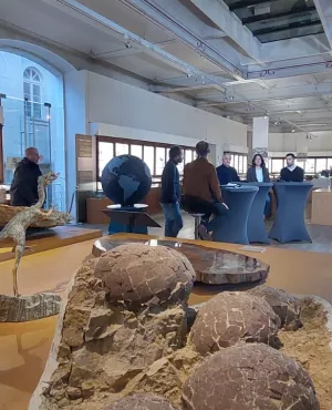 DEP - Muséum d'histoire naturelle de Nantes