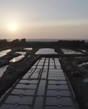 Noirmoutier  Noirmoutier