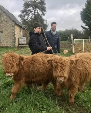 Grégory Cuilleron avec des vaches highland 