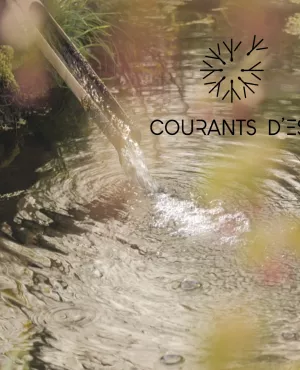 Courants d'Est - Carine Aigon - Au royaume du zen 