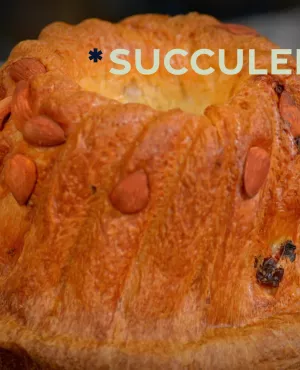 un kougelhopf de l'émission Succulent ! 