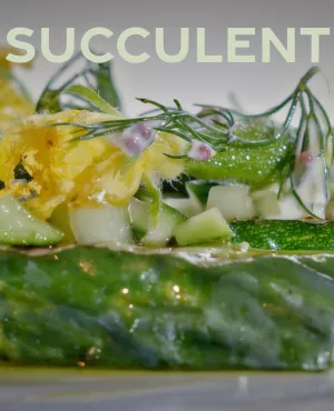 Succulent ! Cornichon - crédit FTV