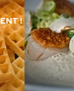 Succulent ! La gaufre - crédit FTV la gaufre liégeoise, bruxelloise, des Flandres, sèche, un plaisir succulent !