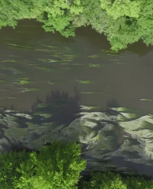 LTDD 8 Descente sur Vezere