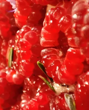 Framboises et romarin