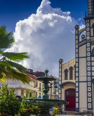 Copyright : Instants (IStock) Martinique Fort-de-France