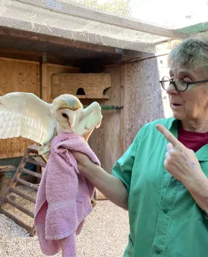 Ô la belle vie - Cévennes sauvages : les gardiens de la biodiversité