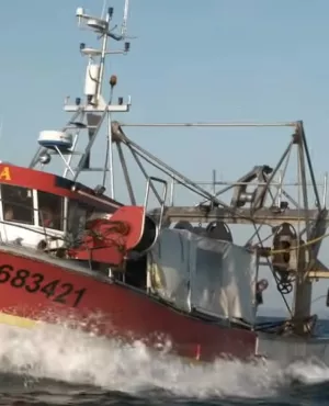 Littoral pêche à la coquille