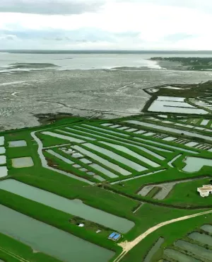 NoA sur mer Ile d'Oleron NoA sur mer Ile d'Oleron