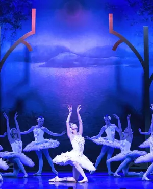 Mon premier lac des cygnes