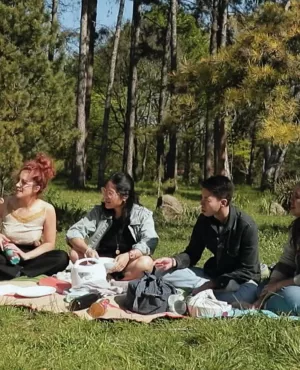 La Réunion, l' art du pique-nique