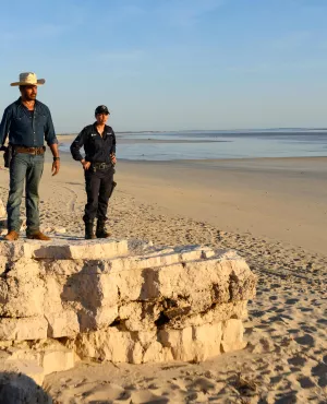 MYSTERY ROAD S02 MYSTERY ROAD S02