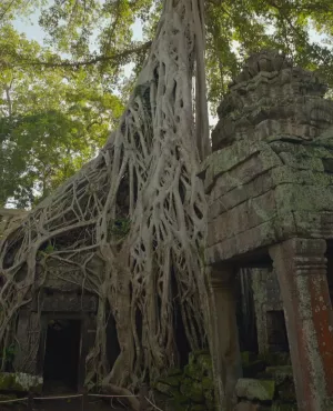 Angkor et les mystères de l'empire Khmer © Windfalls Film Angkor et les mystères de l'empire Khmer © Windfalls Film