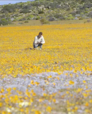 ABOMINABLE MYSTERE DES FLEURS