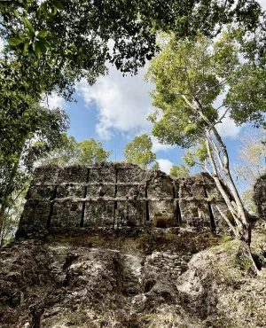 © One Planet NAACHTUN LE ROYAUME MAYA REVELE