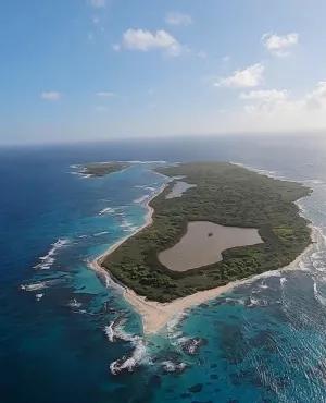 © france.tv studio La vie sauvage des monuments aux Petites Antilles