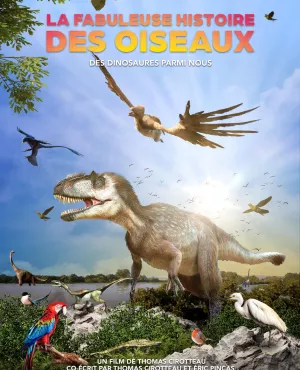 © PERNEL MEDIA La fabuleuse histoire des oiseaux