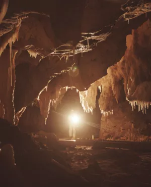 © france.tv studio Chauvet, voyage aux origines