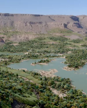 Sahara vert, l'énigme du paradis perdu