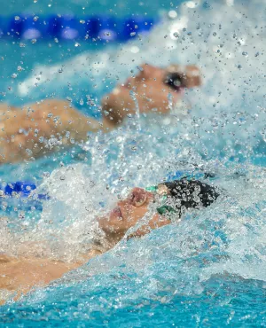 Championnats du monde de natation Championnats du monde de natation