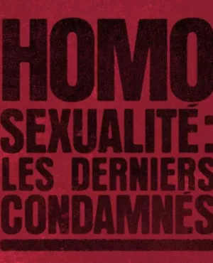 HOMOSEXUALITE : LES DERNIERS CONDAMNES