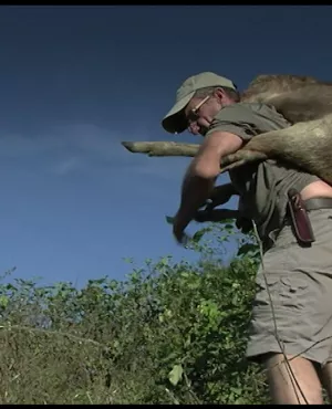 pick-up et coup de chasse