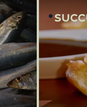 le hareng, de la pêche à l'assiette, à cuisiner et déguster en toute simplicité