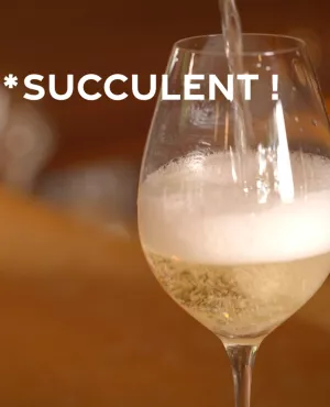Succulent ! - Le champagne - CREDIT FTV Succulent ! - Le champagne - CREDIT FTV