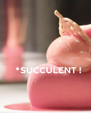 Succulent ! Fraise - crédit FTV Succulent ! Fraise - crédit FTV