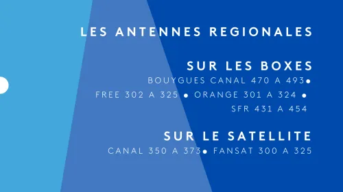 Les canaux de visionnage