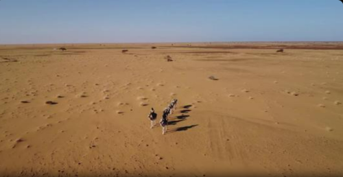 ODETTE DU PUIGAUDEAU, l’aventurière inattendue 