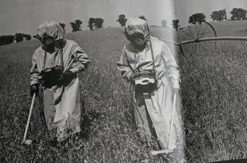 Tchernobyl la Corse 40 ans après le nuage