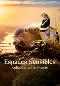 Poster Espaces sensibles 