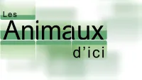 Les animaux d'ici