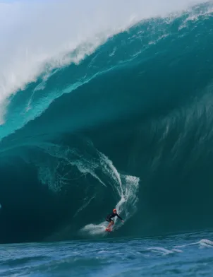 Surf, le feu sacré