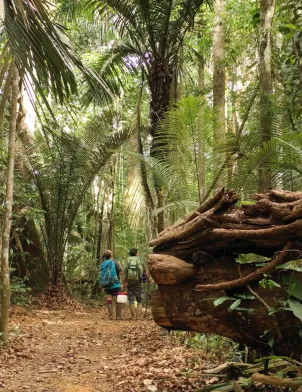 Les plus beaux treks : Guyane