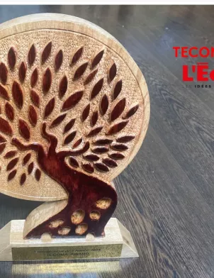 Le Tecoma Award n’est pas un concours auquel on s’inscrit. C’est la rédaction de L’Éco austral qui choisit les nominés en se basant sur quatre critères : progression, innovation, RSE et dynamisme à l’extérieur, et sur ce qui a marqué l’actualité économique durant l’année en cours et l’année précédente. 