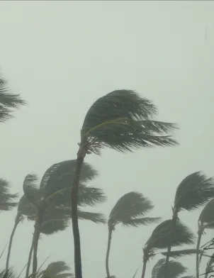 Cyclone