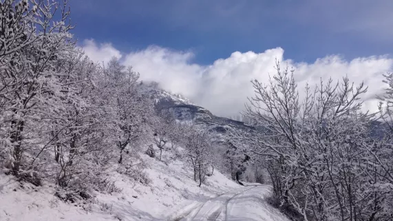 Le pays des Ecrins ©  JC. Victor Paysage sous la neige