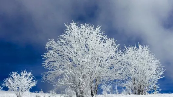 Les vosges sous la neige Les vosges sous la neige