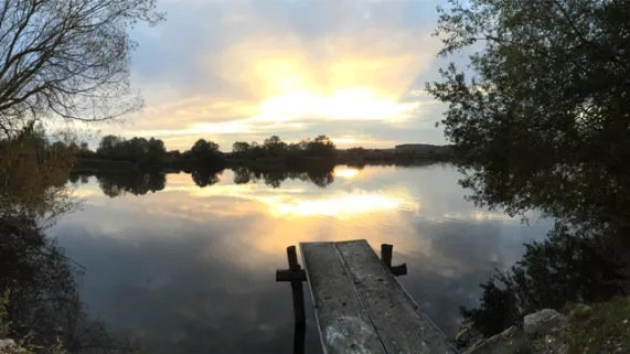 Etangs et marais en Champagne