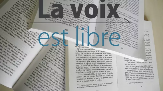 LVEL Spéciale Foire du Livre de Saint-Louis - crédit FTV LVEL Spéciale Foire du Livre de Saint-Louis