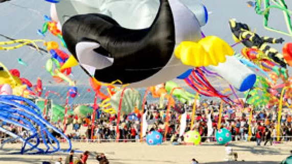 Cerfs volants à Berck