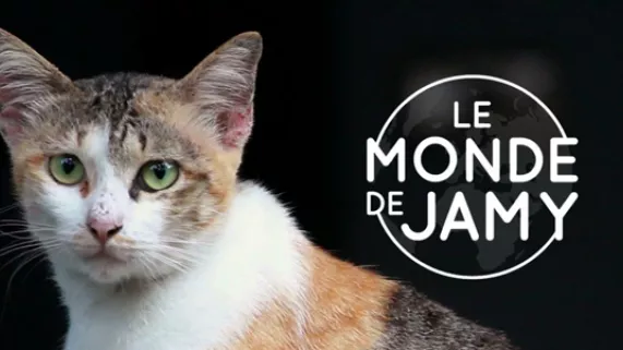 image le monde de Jamy