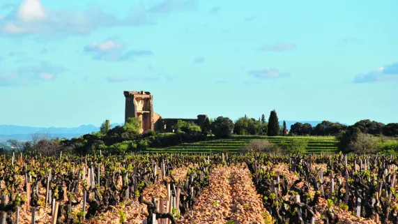 Châteauneuf-du-Pape