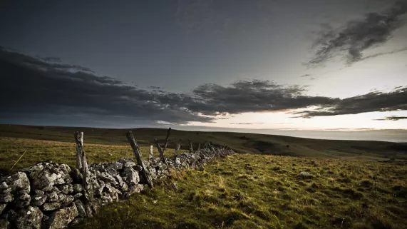 plateau de l'Aubrac
