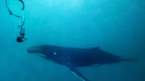 Bellota Films MERE OCEAN